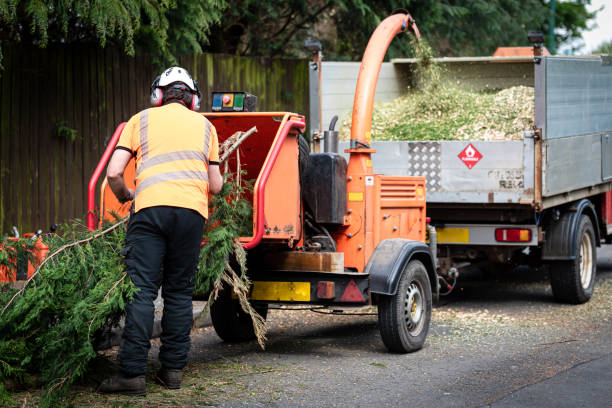 Eureka Springs, AR Tree Service Company